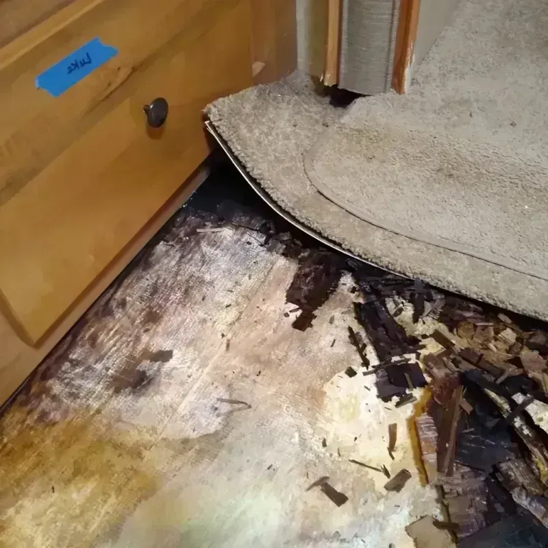 Wood Floor Water Damage in Westminster, CO